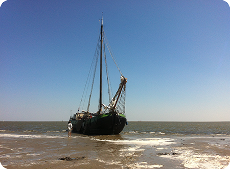 Droogvallen in de waddenzee